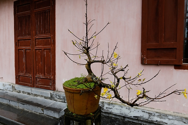 Hué-Pagode de la Dame Céleste-020